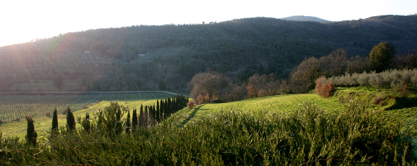 Agriturismo e Bed Breakfast a Castiglion Fiorentino in Toscana