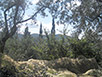agriturismo la fenice a castiglion fiorentino