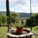 la fenice, agriturismo a castiglion fiorentino in Toscana