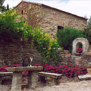 agriturismo la fenice in toscana